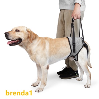 【COD】สายรัดพยุงขา พร้อมที่จับ สําหรับสัตว์เลี้ยง สุนัขผู้สูงอายุ ผู้พิการ บาดเจ็บ