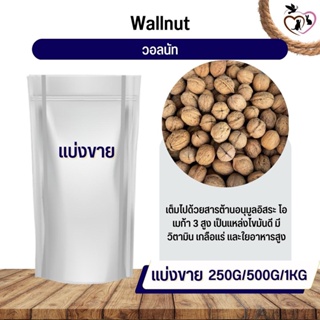 สินค้า WallNut วอลนัท อาหารนก กระต่าย หนู กระต่าย กระรอก ชูก้า และสัตว์ฟันแทะ (แบ่งขาย 250G / 500G / 1KG)