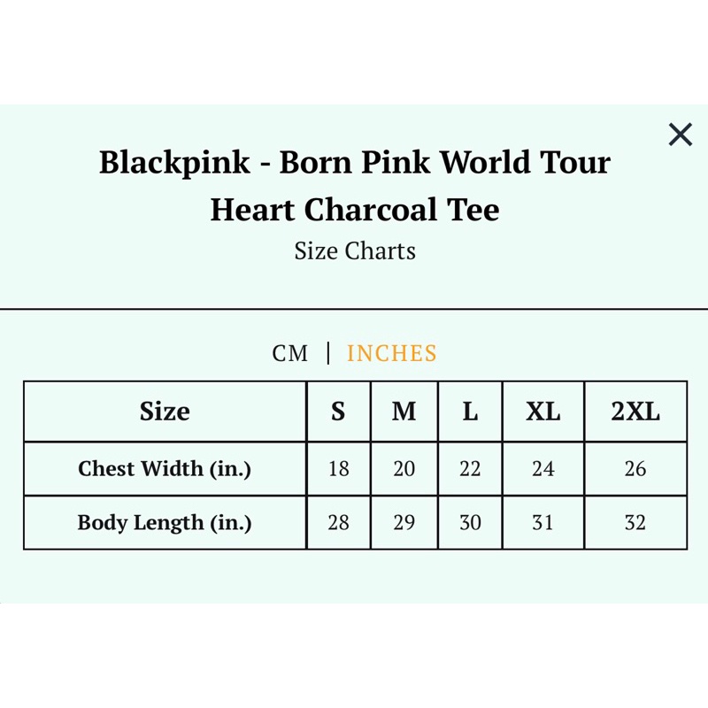 เสื้อยืด-พร้อมส่ง-blackpinkxcoachella-born-pink-world-tour-heart-charcoal-teesize-s-5xl