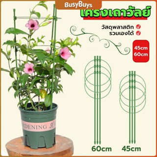 B.B. โครงเถาวัลย์ เสามะเขือเทศ โครงปลูก อุปกรณ์สำหรับพืชไม้เลื้อย 45cm 60cm plant trellis