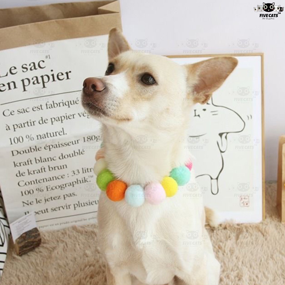 ภาพสินค้าปลอกคอ ผ้าพันคอ ประดับลูกบอล หลากสีสัน เหมาะกับเทศกาลฮาโลวีน สําหรับสัตว์เลี้ยง สุนัข แมว จากร้าน fivecats.th บน Shopee ภาพที่ 5