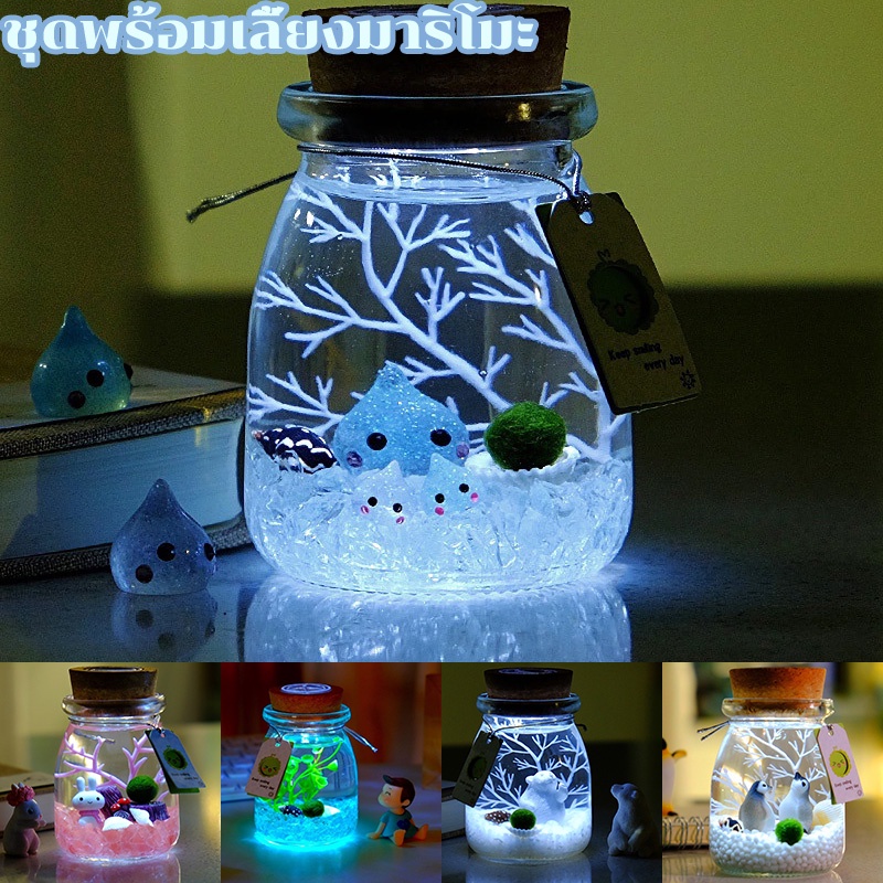 marimo-ส่งของทุกวันได้ของไว-แถมฟรีวิตามินบำรุงและเกลือทะเล-มีวิธีการเลี้ยง