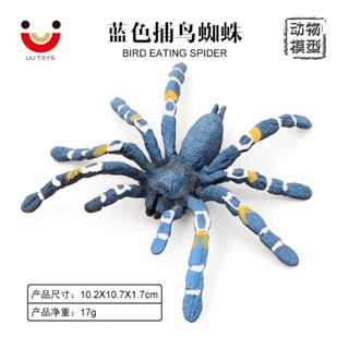 ★ขายดี จํากัดเวลา★โมเดลสัตว์ แมงมุม นกบราซิล สีฟ้า ของเล่นสําหรับเด็ก