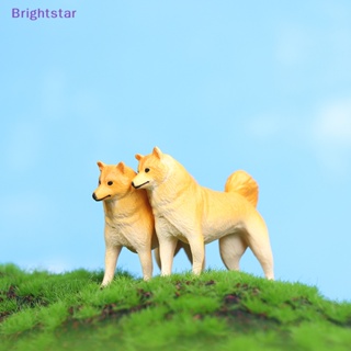 Brightstar 1 ชิ้น จําลองสุนัขสีเหลือง ขนาดเล็ก โมเดลน่ารัก มินิ ลูกสุนัข สุนัข เครื่องประดับ ใหม่