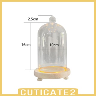[Cuticate2] โหลแก้วใส ทรงโดม ขนาดเล็ก สําหรับใส่จัดเก็บของ ตกแต่งบ้าน