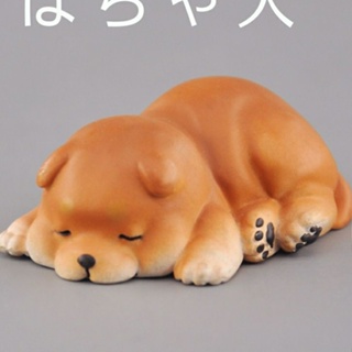[ข้อเสนอพิเศษจากร้านค้าใหม่] โมเดลตุ๊กตาสุนัขอ้วนน่ารัก สไตล์ญี่ปุ่น สําหรับตกแต่ง