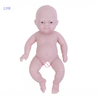 Live ตุ๊กตาเด็กทารกแรกเกิด แบบไม่ทาสี อุปกรณ์เสริม สําหรับคริสต์มาส