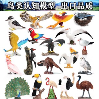 Spot second hair# animal model simulation plastic solid bird wild animal toy bird parrot Eagle ostrich Peacock ornaments 8cc