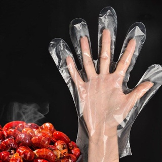 ถุงมือพลาสติก ถุงมืออเนกประสงค์ ทำอาหาร ใช้แล้วทิ้ง จำนวน 50 คู่