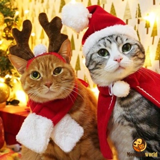 หมวกคริสต์มาส สําหรับสัตว์เลี้ยงสุนัขแมว ผ้าพันคอสามเหลี่ยม หมวกซานต้าคริสต์มาสขนาดเล็ก เครื่องแต่งกายหมาแมว