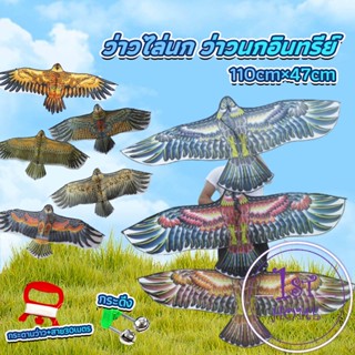 ว่าว นกอินทรีย์ ว่าวไล่นก ว่าวไล่ ศัตรูพืชว่าวเด็ก อุปกรณ์ว่าว kite