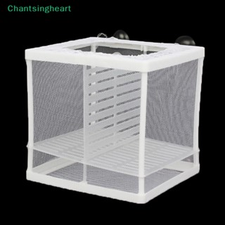 &lt;Chantsingheart&gt; กล่องตาข่าย แบบถ้วยดูด สําหรับเพาะพันธุ์ปลา