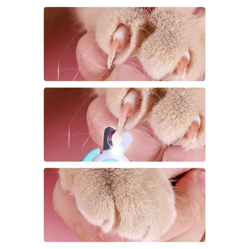 bcfsip-กรรไกรตัดเล็บสัตว์เลี้ยง-แบบมืออาชีพ-มีไฟ-led-อุปกรณ์เสริม-สําหรับสุนัข-แมว-ขนาดเล็ก