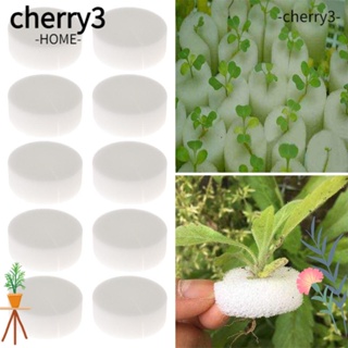 CHERRY3 ถาดฟองน้ํา สําหรับเพาะปลูกในสวน ตู้ปลา 10/50 ชิ้น