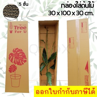 กล่องต้นไม้ เบอร์ 1 กล่องไปรษณีย์ขนาดยาว ( 5 ใบ)