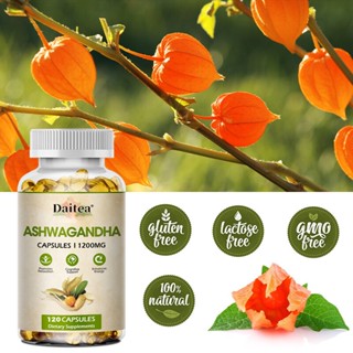 Ashwagandha แคปซูลสารสกัดจากไขมัน บรรเทาความเครียด ความวิตกกังวล ปรับปรุงการนอนหลับ ปรับปรุงภูมิคุ้มกัน และส่งเสริมสุขภาพสมอง