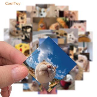 Cooltoy สติกเกอร์ PVC ลายกราฟฟิตี้แมว สําหรับติดตกแต่งตู้เย็น กระเป๋าเดินทาง กีตาร์ เครื่องเขียน 48 ชิ้น