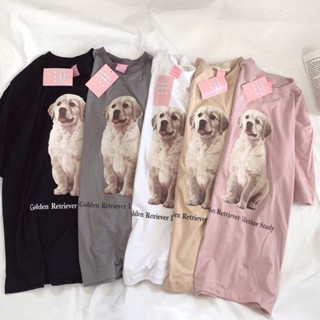 S084 เสื้อยืด oversize ผ้าคอตตอน สไตล์ minimal สกรีน Golden Retriever Lifetime Study