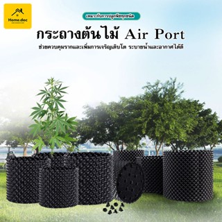 กระถาง Air Pot ปลูกต้นไม้ กระถางมีรู มี 4 ขนาดให้เลือก กระถางปลูกต้นไม้ Air Pot กระถางมีรู#B-071