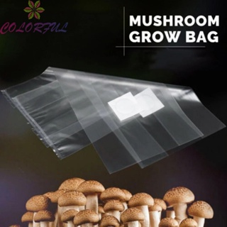 【COLORFUL】Mushroom Substrate Grow Kit Sterile Oat/Rye One Step Injectable Growth Media Bag