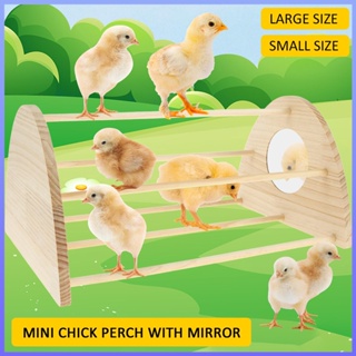 คอนไก่ พร้อมกระจกไม้ แบบประกอบง่าย ใช้ซ้ําได้ SHOPSBC4118