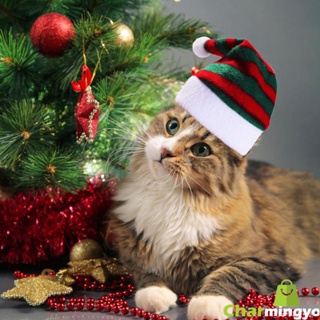 หมวกซานต้าคลอส เครื่องแต่งกายคอสเพลย์ สําหรับสัตว์เลี้ยง สุนัข แมว เทศกาลคริสต์มาส