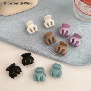 Blowgentlywind กิ๊บติดผมพลาสติก เนื้อแมตต์ ขนาดเล็ก เครื่องประดับแฟชั่น 10 ชิ้น