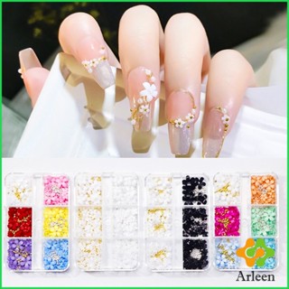 Arleen DIY 3D ลูกปัดโลหะ รูปกลีบดอกไม้ 6 ช่อง คละสี สําหรับตกแต่งเล็บ Nail Kits