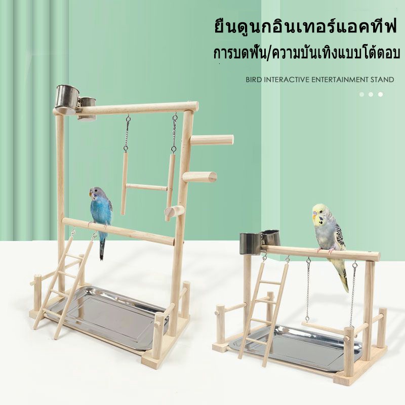 waomenn-ชุดอุปกรณ์คอนนกและถาดสแตนเลสรองเศษอาหาร-คอนยืนนกแก้ว