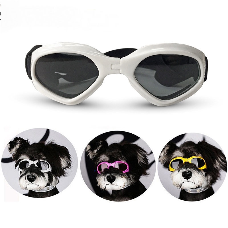พร้อมส่ง-แว่นตาสุนัข-หมาเล็กถึงกลาง-กันแดดกันลม-สายปรับระดับได้-แว่นตาป้องกัน-แว่นตา-แว่นกันแดดสุนัข