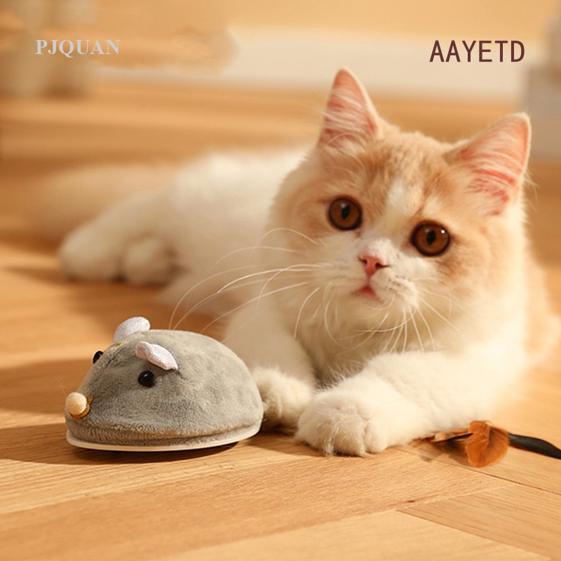 aayetd-เมาส์ไฟฟ้าอัตโนมัติ-ประดับขนนก-ชาร์จ-usb-ของเล่นสําหรับสัตว์เลี้ยง-แมว