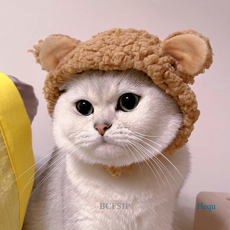 bcfsip-หมวกตุ๊กตาหมีน่ารัก-ใส่สบาย-อุปกรณ์เสริม-สําหรับสัตว์เลี้ยง-สุนัข-แมว-ขนาดเล็ก