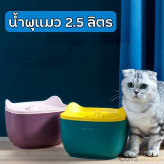พร้อมส่ง🔥น้ำพุแมว🛵  ความจุ2.5 น้ำพุแมว น้ำพุสัตว์เลี้ยงอัตโนมัติ ช่วยกระตุ้นให้ดื่มน้ำ พร้อมไส้กรอง น้ำพุ แมว สุนัข