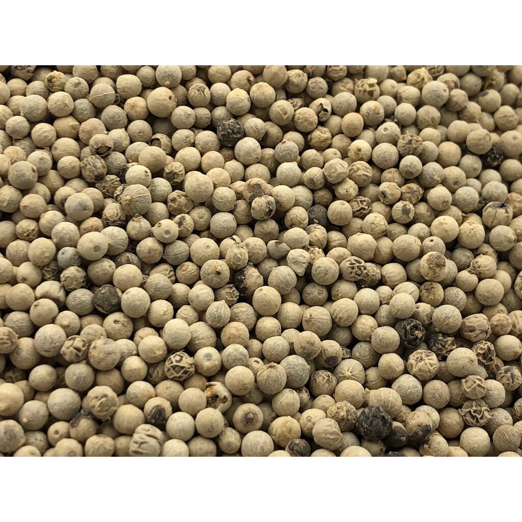 พริกไทยขาว-white-pepper-ขนาด-500-กรัม-พริกไทยขาว-เครื่องเทศ-พริกไทยเม็ดขาว-คุณภาพดี-พริกไทยขาวเม็ด