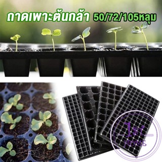 ถาดเพาะต้นกล้า  ถาดเพาะชำ ถาดเพาะเมล็ด ใช้ซ้ำได้ Seedling Tray