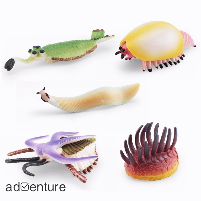 adven-โมเดลฟิกเกอร์-cambrian-prehistoric-marine-life-ของเล่นสําหรับเด็ก