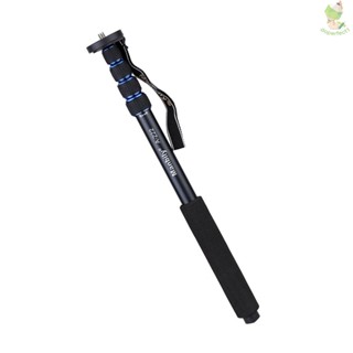 ไม้เท้าอลูมิเนียมอัลลอยด์ แบบยืดหดได้ แบบพกพา สําหรับกล้อง DSLR กล้องวิดีโอ Monopod Unipod Pole Walking Stick สําหรับกล้อง 6.5