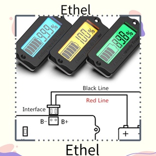 Ethel1 เครื่องทดสอบแบตเตอรี่ตะกั่วกรด หน้าจอ LCD 12V 24V 36V 48V