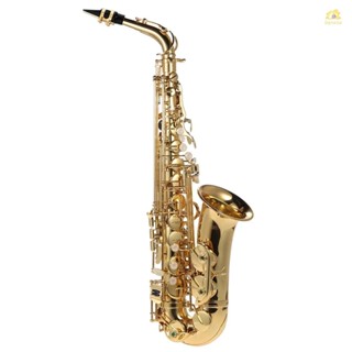 Banana_pie ammoon Eb เครื่องดนตรีอัลโตแซกโซโฟน ทองเหลือง E Flat Sax 802 Key Type Woodwind พร้อมแปรงทําความสะอาด ผ้า ถุงมือ พร้อมสายคล้อง