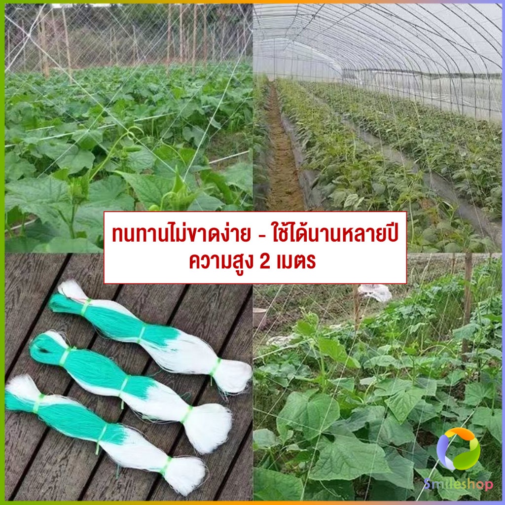 smileshop-ตาข่ายปลูกพืชผัก-โครงไม้เลื้อย-ค้างปลูกผัก-อวนปลูกผัก-plant-support