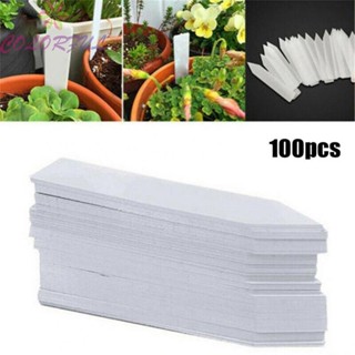 【COLORFUL】Flexible Labels Plant Labels Garden UV Resistant Durable And Waterproof spFVCD xiyDzWqb NXWPxB PIdCUq