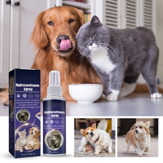 New Hydrocortisone Spray Pet Anti Itching Spray For Dogs and Cats