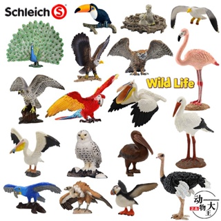 Schleich โมเดลนกฟลามิงโก้ นกยูง นกนางนวล นกนางนวล ของเล่นสําหรับเด็ก YE8A