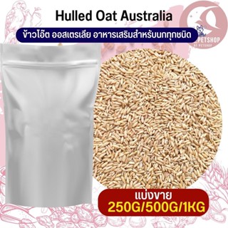 Hulled Oat ข้าวโอ๊ต ออสเตรีย อาหารนก หนู  กระรอก สัตว์ฟันแทะ มีประโยชน์ต่อสัตว์ (แบ่งขาย 250G/500G / 1KG)