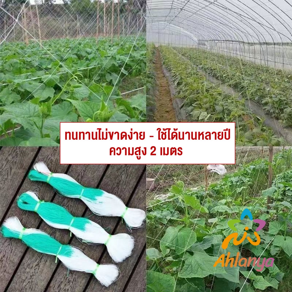 ahlanya-ตาข่ายปลูกพืชผัก-โครงไม้เลื้อย-ค้างปลูกผัก-อวนปลูกผัก-plant-support