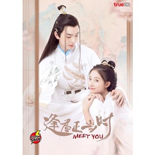 DVD ดีวีดี Meet You (2021) เจ้าสาวสวมรอย (12 ตอนจบ) (เสียง ไทย | ซับ ไม่มี) DVD ดีวีดี