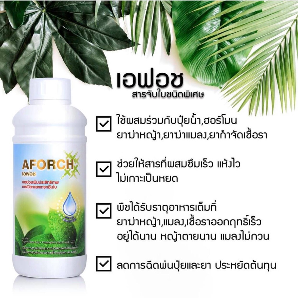 สารจับใบ-เอฟอช-aforch-สารจับใบ-ปุ๋ยน้ำเอฟอช-ขนาด1000cc-ชนิดเร่งดูดซึมไว-ของแท้-100