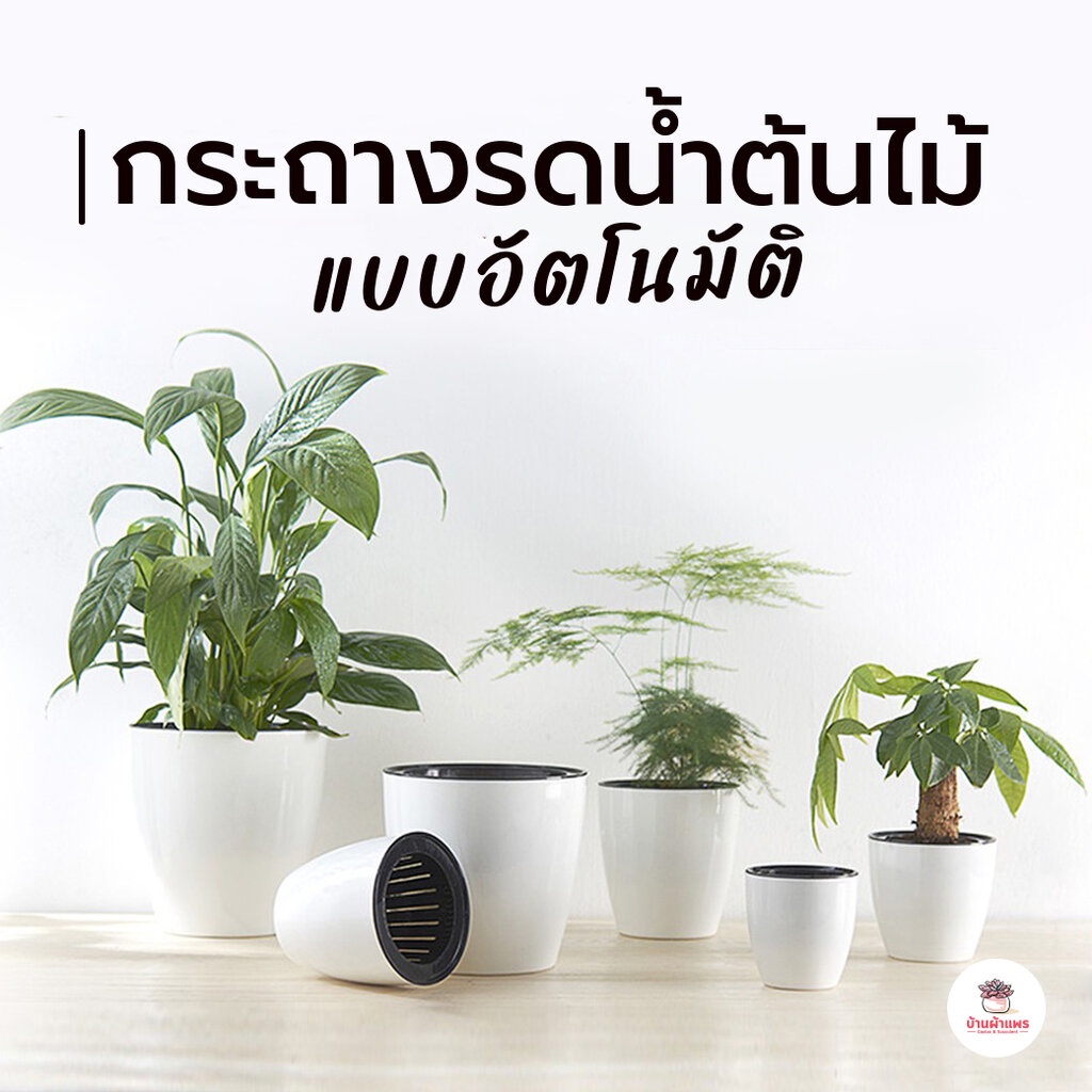 DZP กระถางรดน้ำต้นไม้อัตโนมัติ 6 ขนาด