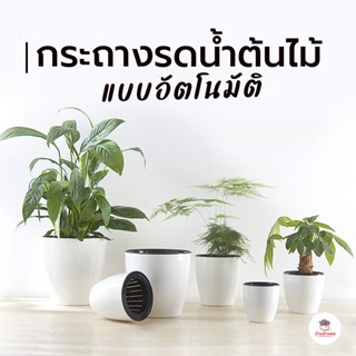 กระถางรดน้ำต้นไม้อัตโนมัติ กระถางเก็บน้ำ กระถางดูดน้ำอัตโนมัติ