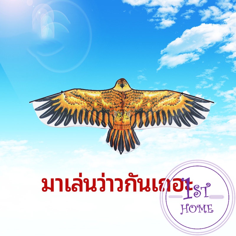 ว่าว-นกอินทรีย์-ว่าวไล่นก-ว่าวไล่-ศัตรูพืชว่าวเด็ก-อุปกรณ์ว่าว-kite